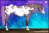 Horse Color:Painted Silver Classic Champagne Ice Roan Dun Frame Appaloosa 
