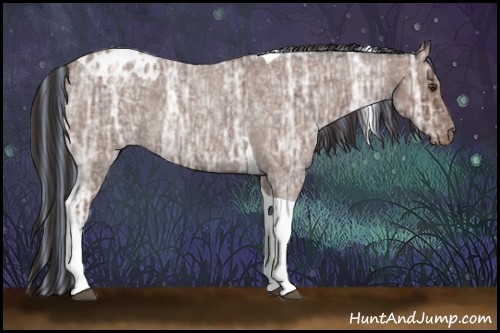 Horse Color:Painted Bay Ice Roan Tobiano Appaloosa