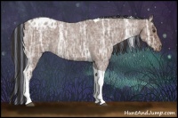 Horse Color:Painted Bay Ice Roan Tobiano Appaloosa 