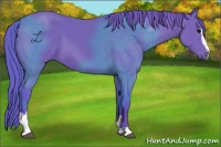 Horse Color:Watercolor Black Sabino 
