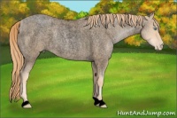 Horse Color:Void Gold Champagne Roan Pearl 