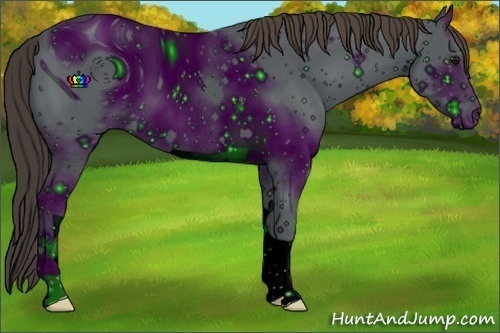 Horse Color:ERROR: UNKNOWN ANOMALY