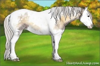 Horse Color:Silver Smoky Blue Onyx Ice Splash Tobiano 