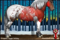Horse Color:Bay Tobiano Appaloosa 