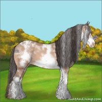Horse Color:White Spotted Sable Champagne Sabino Frame Blanket