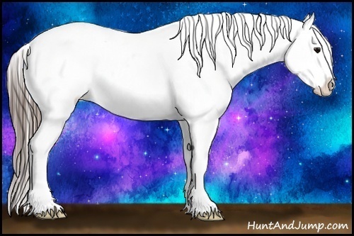 Horse Color:Black Ice Splash Appaloosa 