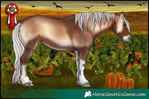 Horse Color:Silver Bay Onyx 