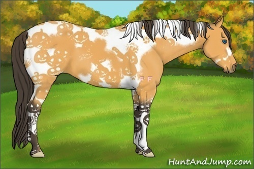 Horse Color:Buckskin Tobiano Frame