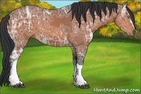 Horse Color:Brown Ice 