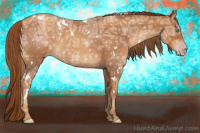 Horse Color:Gray White Spotted Gold Champagne Ice Rabicano 