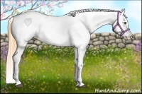 Horse Color:Buckskin Roan Dun Appaloosa