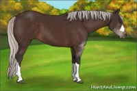 Horse Color:Silver Brown Mushroom