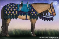 Horse Color:Buckskin Dun 