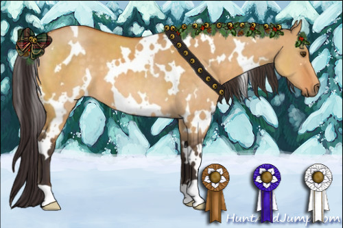 Horse Color:White Spotted Buckskin Dun 