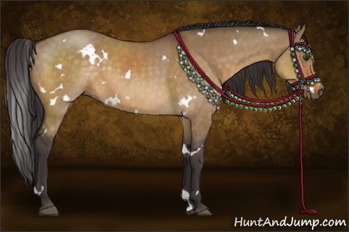 Horse Color:White Spotted Buckskin Dun 