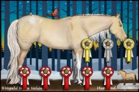 Horse Color:Silver Brown Pearl Dun Sabino Tobiano Appaloosa Rabicano