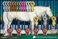 Horse Color:Silver Brown Pearl Dun Sabino Tobiano Appaloosa Rabicano