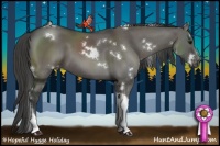Horse Color:White Spotted Grullo Tobiano Appaloosa Rabicano