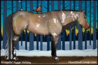 Horse Color:White Spotted Bay Dun Rabicano