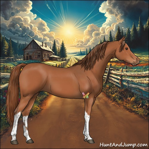 Horse Color:Chestnut Tobiano