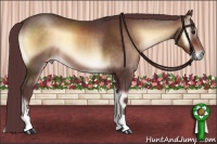 Horse Color:Chocolate Brown Onyx Sabino