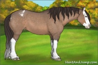 Horse Color:Brown Roan Dun Splash Appaloosa 