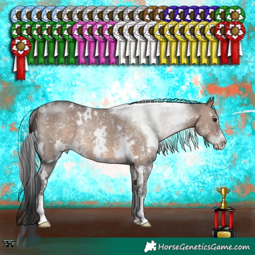 Horse Color:White Spotted Brown Dun Sabino Rabicano