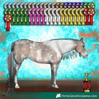 Horse Color:White Spotted Brown Dun Sabino Rabicano