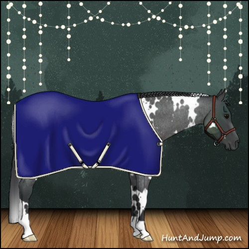 Horse Color:White Spotted Blue Roan Rabicano 