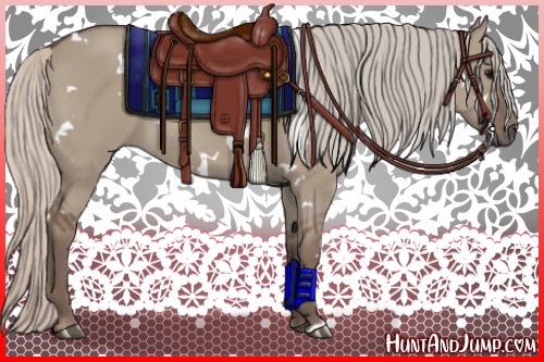 Horse Color:White Spotted Silver Grullo Rabicano 