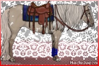 Horse Color:White Spotted Silver Grullo Rabicano 