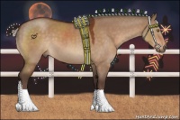 Horse Color:Silver Bay Dun 