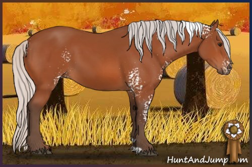 Horse Color:White Spotted Silver Bay 