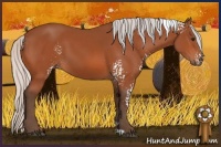 Horse Color:White Spotted Silver Bay 