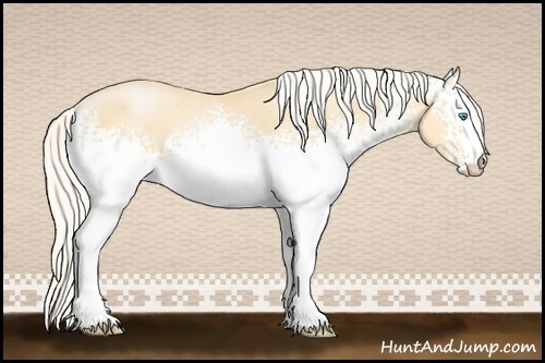 Horse Color:White Spotted Silver Buckskin Pearl 