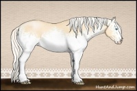 Horse Color:White Spotted Silver Buckskin Pearl 