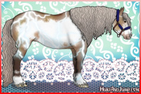 Horse Color:Silver Brown Dun Sabino Frame 