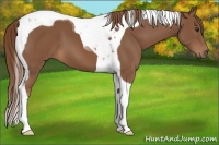 Horse Color:Chestnut Tobiano 