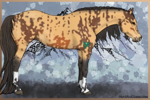 Horse Color:Bay and Buckskin