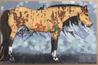 Horse Color:Bay and Buckskin