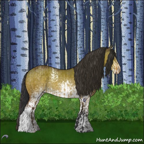 Horse Color:Brown Roan Dun Rabicano  and White Spotted Buckskin Dun 