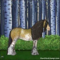 Horse Color:Brown Roan Dun Rabicano  and White Spotted Buckskin Dun 