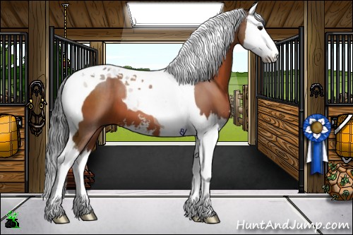 Horse Color:Bay Sabino Splash Tobiano 