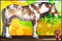 Horse Color:White Spotted Bay Onyx Varnish Rabicano 