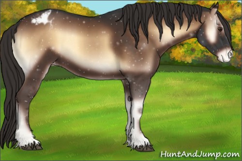 Horse Color:Liver Red Onyx Appaloosa 