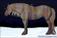 Horse Color:Nacre Liver Chestnut Rabicano 