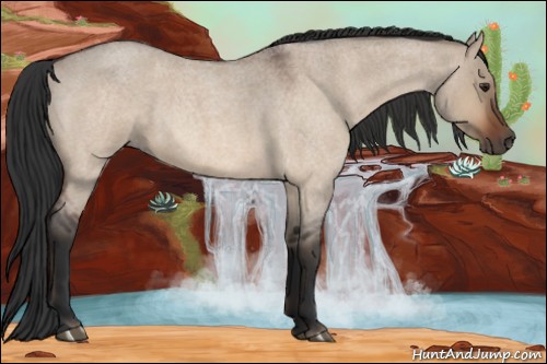 Horse Color:Brown Roan Dun 