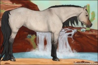 Horse Color:Brown Roan Dun 