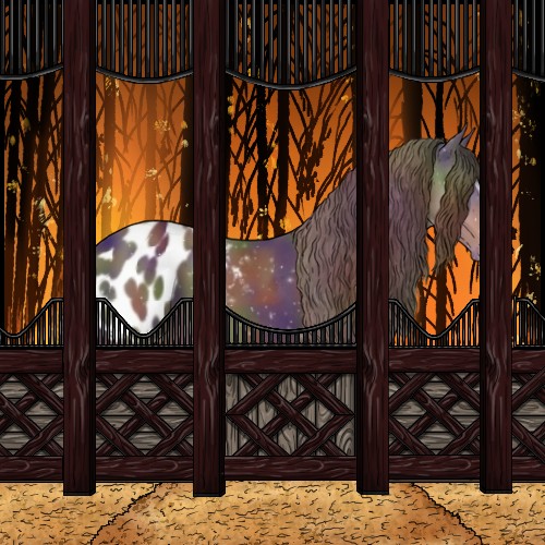 Horse Color:Nacre White Spotted Liver Chestnut Appaloosa