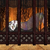 Horse Color:Nacre White Spotted Liver Chestnut Appaloosa 